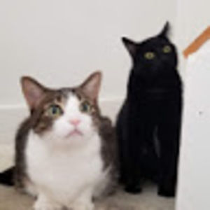 Meet your Posher, Alissa